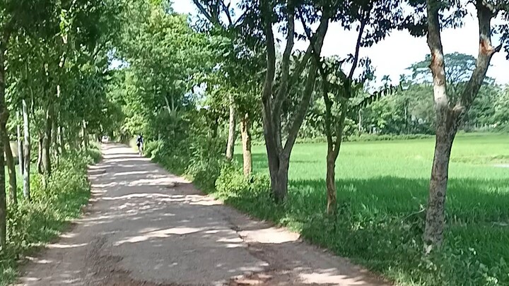 Bangladeshi  village