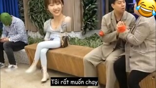 Mấy bạn trung của troll cũng hài ghê