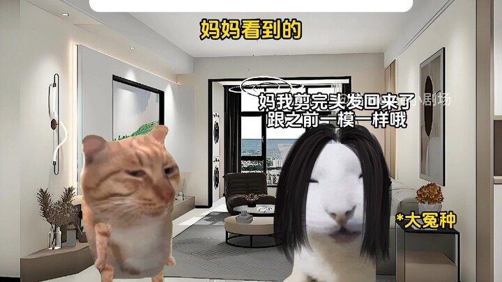 My Actions vs. What My Mom Sees