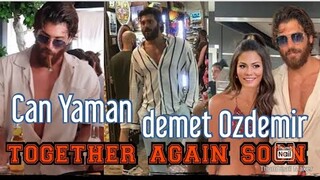 Can Yaman and demet Ozdemir together again soon