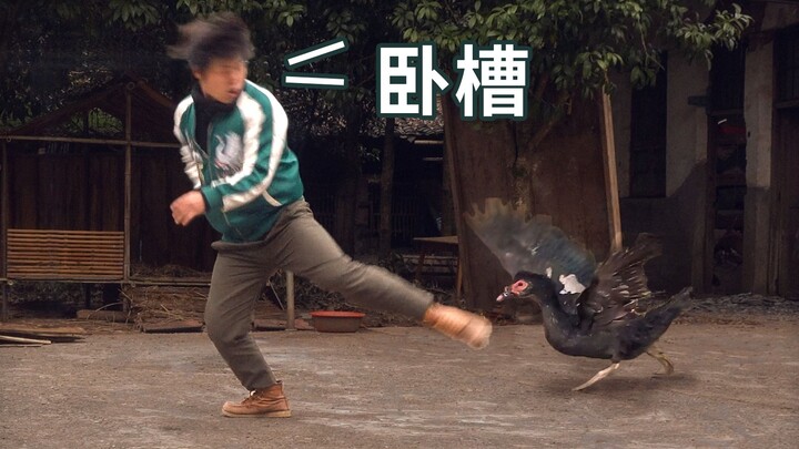 Vịt xiêm động dục kinh khủng đến mức nào!!!