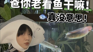 小时候我不理解父亲为什么总是守着鱼缸…