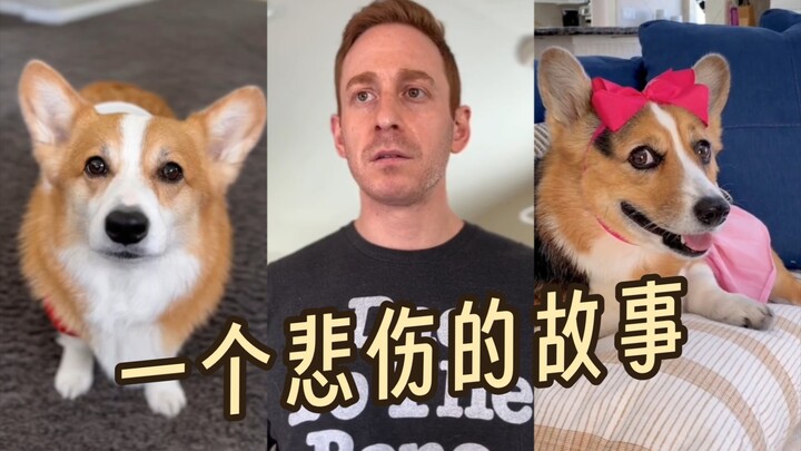 Don’t骗 the puppy 😭🏃🏻‍♂️🏃🏻‍♂️🏃🏻‍♂️🏃🏻‍♂️