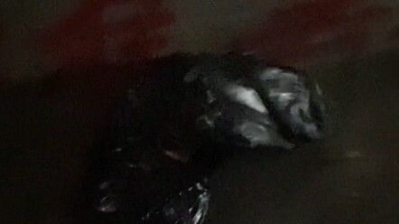 Giữa đêm khuya thế này mà tôi vẫn không tin.