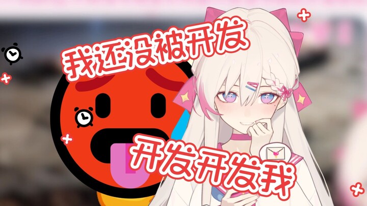 让主包开发开发你的