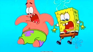 ⚡️พฤติกรรมน่าสับสนของสัตว์ทะเล⚡️(30)