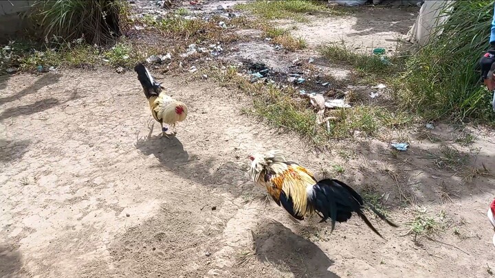 MAG AMA SILA PAREHO SILA NANG LARO GUYS.