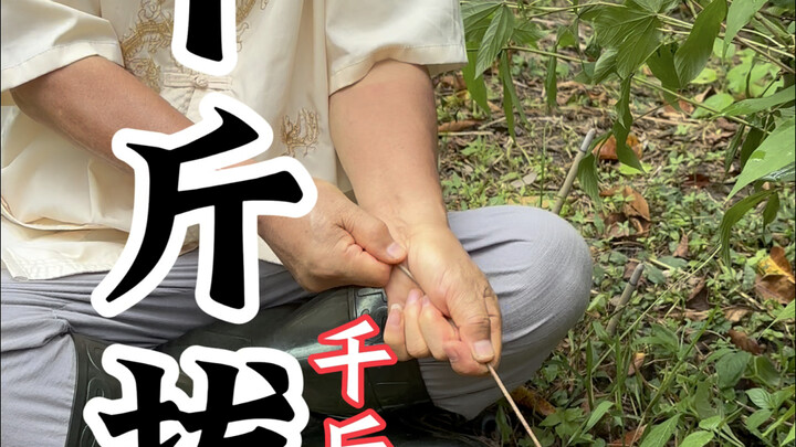 ใครจะดึงมันขึ้นมาได้? ฉันไม่เชื่อหรอก! มันคือต้นชีพหลานที่หนักพันจิน แม้หนักพันจินก็ยังดึงไม่ขึ้น ทั