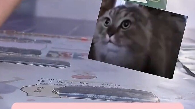 Blind draw sharing | The original promoter reappears in the arena!!!