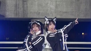 [First domestic translation] Chaos ブギ/Chaos Boogie <fixed location> ♡ 死ぬまで踊れ [Miaojun x Zaizai]
