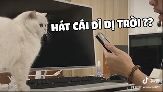 Vãn Vãn | Tuy CÔNG CHÚA NHỎ hay chế ba hát dở nhưng vẫn rất quan tâm ba đó nha 😆  | Pets TV