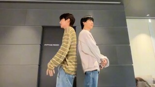 Like Crazy tiktok dance challenge with bts jimin and jhope