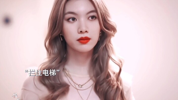 【Cermin Pecah Menjadi Utuh Kembali】“Perjalanan Panjang Si Anjing Emas Berkarakter Jujur Mengejar Cin