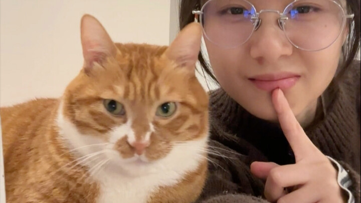 Di rumah sehari-hari aku ngobrol sama kucing kayak gini.