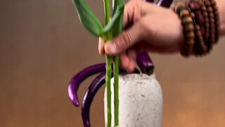 Terong asal Pahang berbiji panjang, dan aroma Polygonum multiflorum menjadi pilihan yang menggiurkan