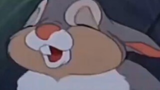 Little rabbit and mother rabbit