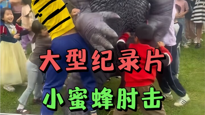 A Large-Scale Documentary: The Little Bee's Elbow Strike