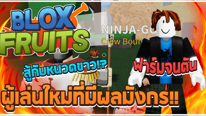 Roblox Blox Fruits ฟาร์มจนตัน - ตัวไก่ใช้ผลมังกรฟาร์มตั้งแต่เวล 1 จนตัน! โชคดีได้หวดกับหนวดขาว!
