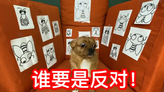 Untuk menjinakkan anjing yang ganas, Anda tidak memerlukan anjing ganas lainnya, seekor "semut" suda