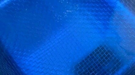 Tidak ada yang berubah kecuali airnya menjadi kotor.