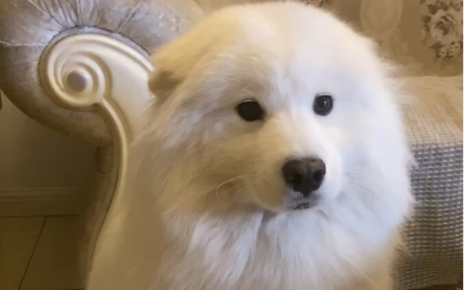 ดูเหมือนไม่ยอมรับสักเท่าไหร่เลย