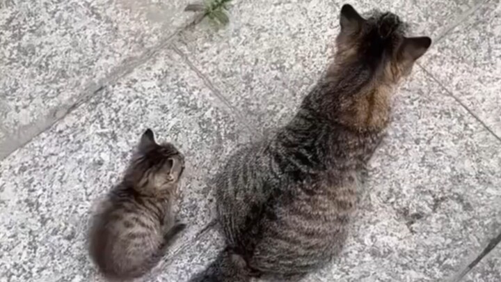 Terlihat sekali kalau mereka anak kandung.