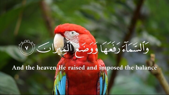 سورة الرحمن الاية (1-9) #islam