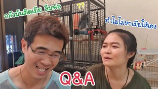 Q&A ตอบคำถามทุกข้อสงสัยกับพี่เฮง