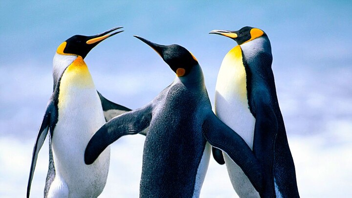 สะดุดล้ม ภาค4 EP7