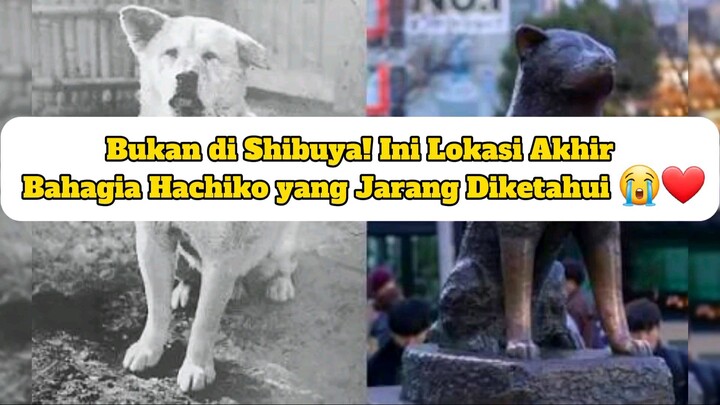 Akhir bahagia kisah hachiko yang jarang diketahui