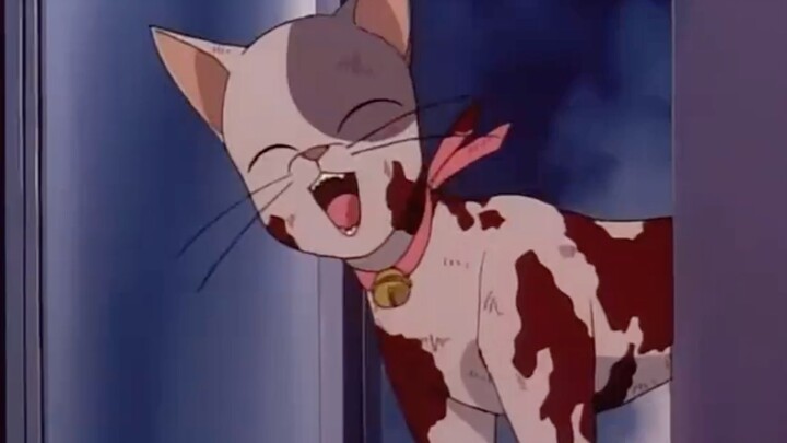 A man, blackmailed by his victim, ended up murdering him—but was ultimately uncovered by the Detecti