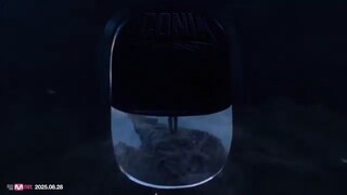 ZEROBASEONE (제로베이스원) 'ICONIK' MV