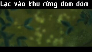 Lạc vào khu rừng đom đóm