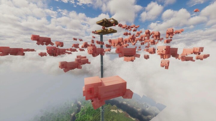 Trang trại heo của tôi bị nổ rồi!