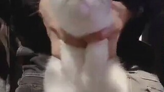 整点阳间的东西
