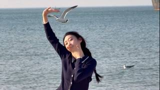 海边跳the chase遇到了超级配合的海鸥