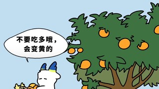 树的果实有一定的炸弹性能