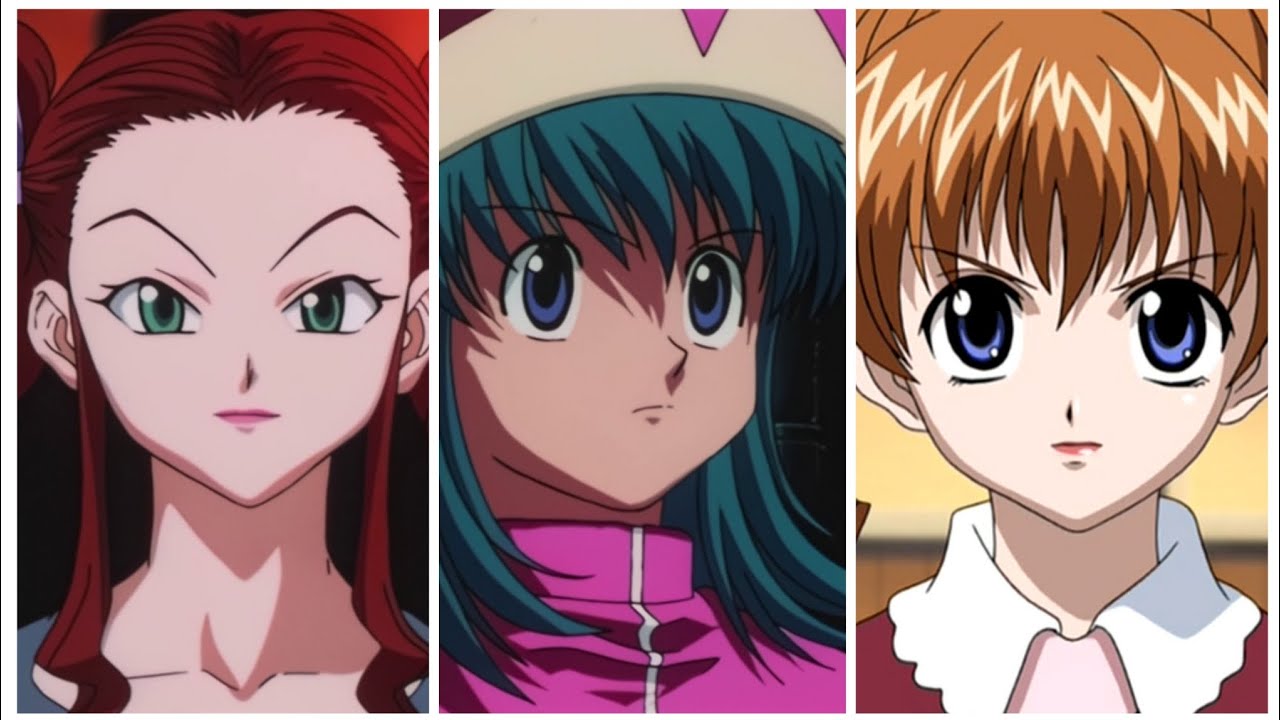 Hunter x Hunter - 1999 vs 2011 (Gon vs Hanzo) - BiliBili