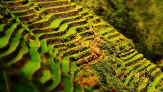 Rice Terraces Banaue, Philippines | Little Big World | Time Lapse, Tilt Shift & Drone Travel Video