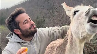 当你养了一头“会笑”的贪吃小驴