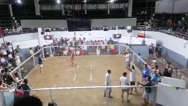 MCA 01/01/2026..3wins lose