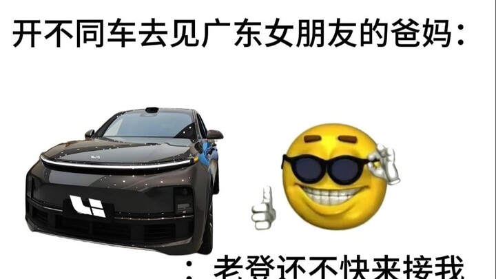 Pemilik mobil Ideal