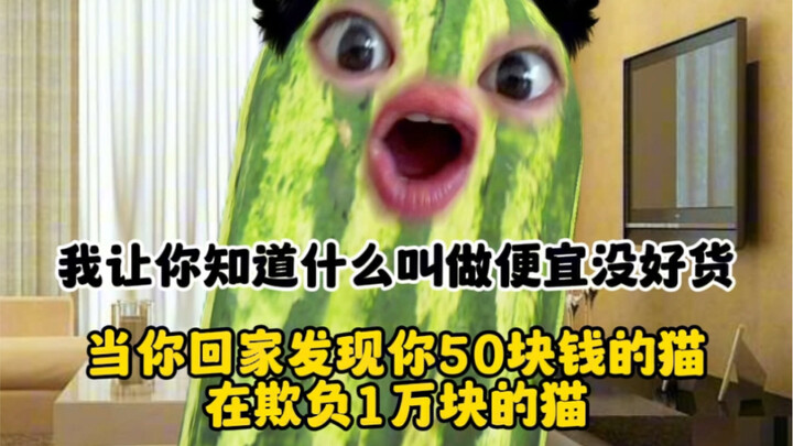 50 bucks: Take you out and I’ll have 10,050!