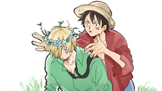 [ONE PIECE] Sanji vs Luffy Sad