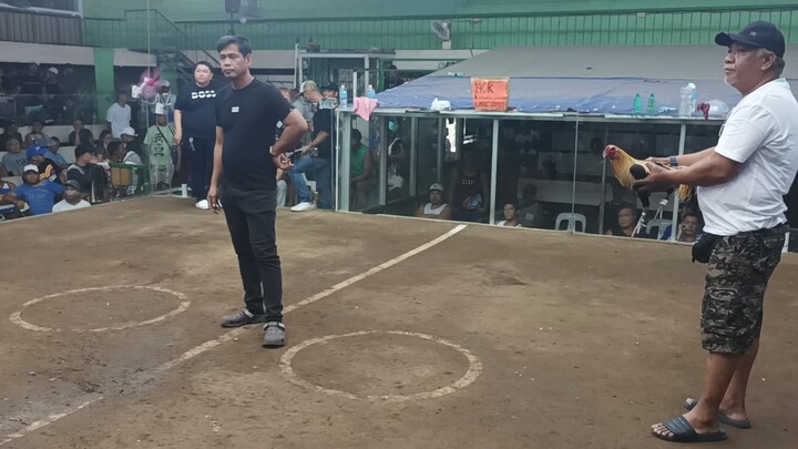 1 fight win 2 hits cainta cockpit