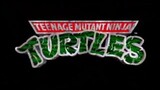 Teenage Mutant Ninja Turtles (1987) - S10E08 - Divide and Conquer