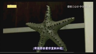 【爱情攻心计】第三集cut5  直线球夫夫  学长的笑容太可爱了吧