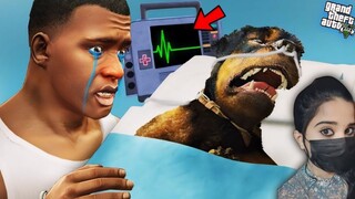 Who Kidnapped Chop ? | Franklin tries to help Chop - GTA 5 #103