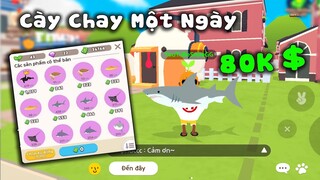 Play Together | Cách SmileGG Cày Chay Một Ngày Hơn 80.000$ TIỀN - Câu Cá Ở Đâu Hiệu Quả Nhất