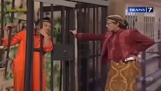 orang satiri